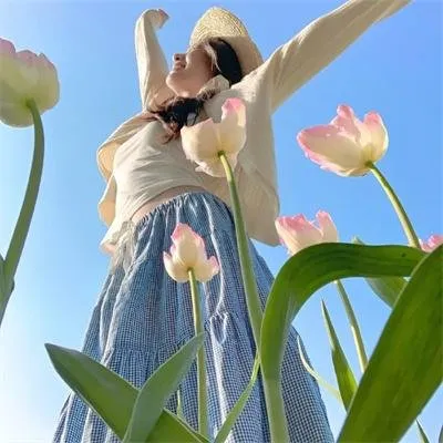 最新现象级剧场版《排球少年！！垃圾场决战》：乌野对战音驹，没有重来一次的比赛，热血到窒息